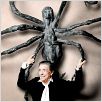 Louise Bourgeois : l'araignée, la maîtresse et la mandarine