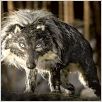 Pierre et le loup