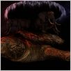 Discworld (TV) : photo