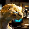 Comme chiens et chats - La Revanche de Kitty Galore