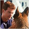 Comme chiens et chats - La Revanche de Kitty Galore
