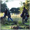 My Own Love Song : photo Forest Whitaker, Madeline Zima, Olivier Dahan, Renée Zellweger