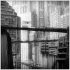 Metropolis : photo Fritz Lang
