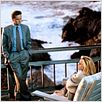 Basic Instinct : photo