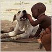 Bébés : photo Thomas Balmès