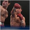 Fighter | BDRiP TRUEFRENCH | Rapidshare Multi Lien