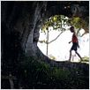 L'Arbre : photo Julie Bertuccelli, Morgana Davies