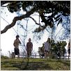 L'Arbre : photo Charlotte Gainsbourg, Julie Bertuccelli, Marton Csokas, Morgana Davies