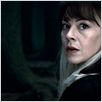 Harry Potter et les reliques de la mort - partie 2