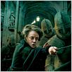 Harry Potter et les reliques de la mort - partie 2