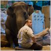 Zookeeper : photo Frank Coraci, Kevin James