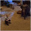 Zookeeper : photo Frank Coraci, Kevin James
