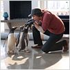 M. Popper et ses pingouins : photo Jim Carrey, Mark Waters