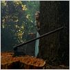 Le Chaperon Rouge : photo Amanda Seyfried, Catherine Hardwicke