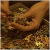 Puzzle : photo