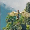 Bird people in China : photo Li Li Wang, Takashi Miike