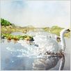 Le Vilain petit canard