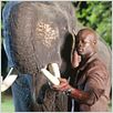 Bangkok Revenge : photo Djimon Hounsou