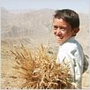 The Boy Mir - Ten Years In Afghanistan : photo