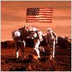 Mission to Mars : photo
