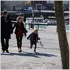 Les Papas du dimanche : photo Louis Becker