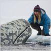 Miracle en Alaska