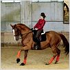 Sport de filles