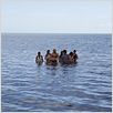 2-Headed Shark Attack [English DVDRiP][UL]