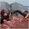 2-Headed Shark Attack [English DVDRiP][UL]