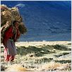 Himalaya, terre des femmes : photo