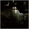 Dead End : photo