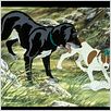 The Plague Dogs : photo
