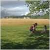 Take Shelter : photo