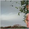 Take Shelter : photo