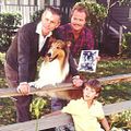 Photo : Les nouvelles aventures de Lassie