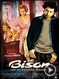 Le Bison (et sa voisine Dorine)