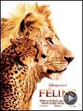 Photo : Félins Bande-annonce VF