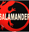 salamander13008