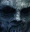 clemtramp30