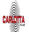 Carlottafilms