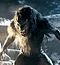 The-Wolf
