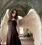 dark angel