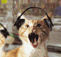 Chat_Du_Cheshire