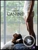 Photo : <b>Canine</b> Bande-annonce VO