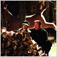 Shane Black's Kiss kiss, bang bang : photo Robert Downey Jr., Shane Black, Val Kilmer