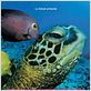 Deep Sea dansons sous la mer : affiche Howard Hall