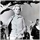 Les Oiseaux : photo Alfred Hitchcock, Tippi Hedren