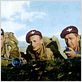 Les Bérets rouges : photo Alan Ladd, Anton Diffring, Terence Young