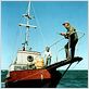 Les Dents de la Mer : photo Richard Dreyfuss, Robert Shaw, Roy Scheider, Steven Spielberg