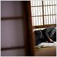 Carte des sons de Tokyo : photo Isabel Coixet, Min Tanaka